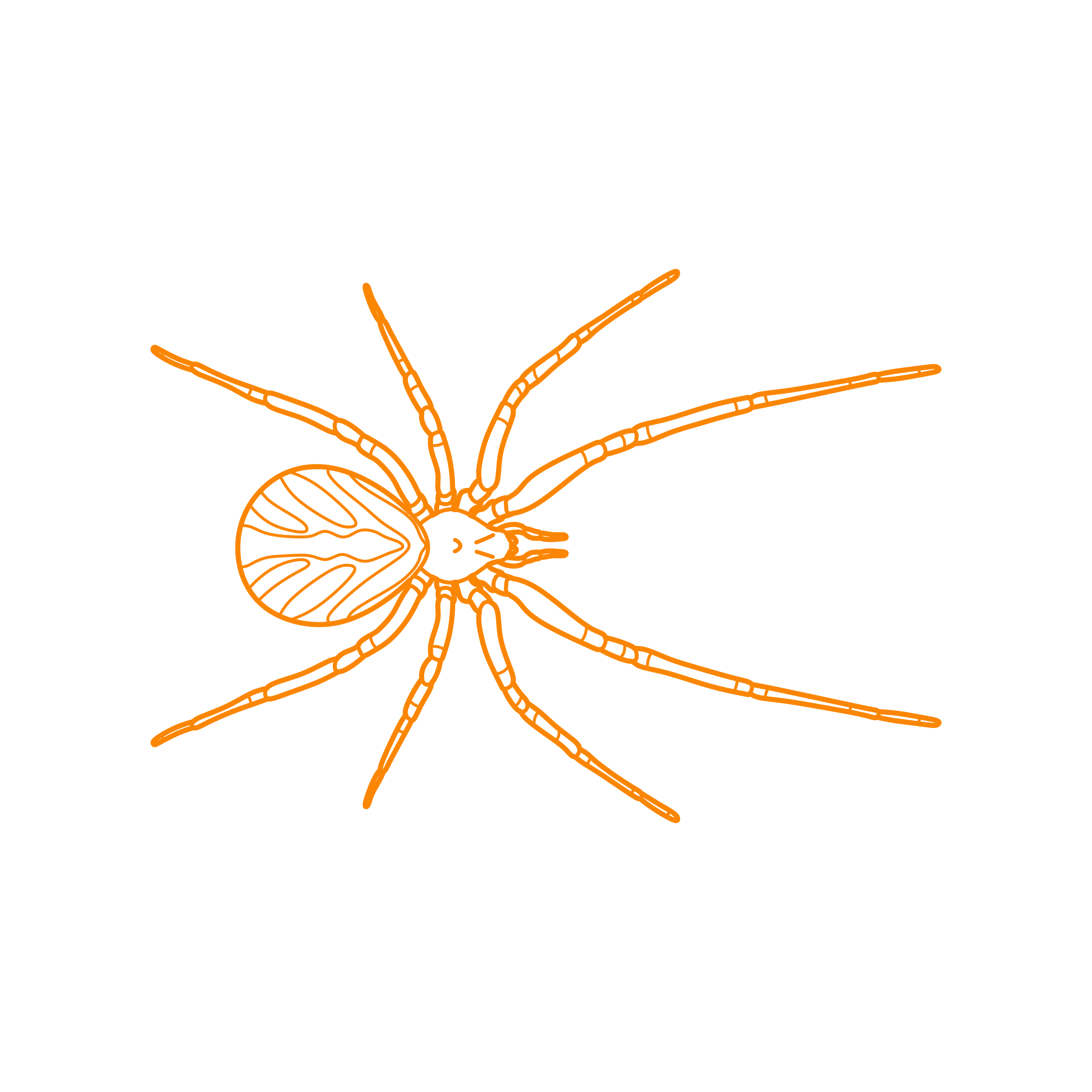 Animals Arachnids Western Black Widow Outline Svg Vector Free Vectors